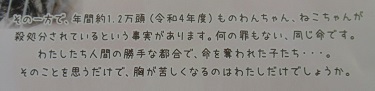 241020pet.JPG