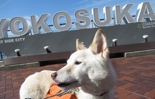 250303yokosuka1.JPG